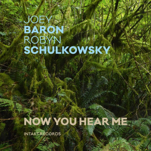 BARON, JOEY / ROBYN SCHULKOWSKY - NOW YOU HEAR MEBARON, JOEY - ROBYN SCHULKOWSKY - NOW YOU HEAR ME.jpg